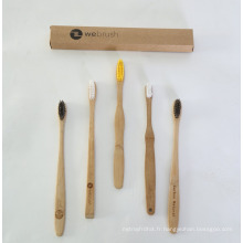 Adulte et kits brosse à dents en bois de bambou